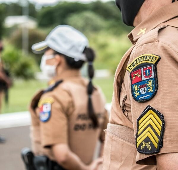 search authority seo ranking