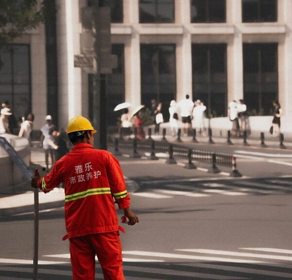 seo services for growth