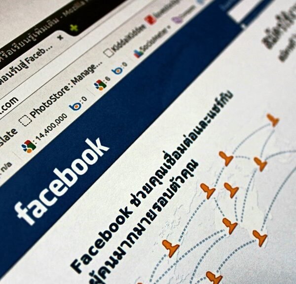 website authority seo network